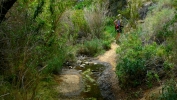 PICTURES/Darwin Falls/t_Trail4.JPG